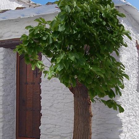 布比翁Casa El Rincon Del Angel别墅 客房 照片